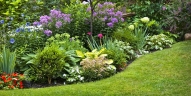 Have a Professional-Looking Landscape Design